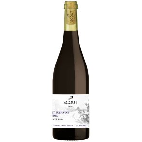 Ancient bush vine Zinfandel, Ling estate vineyard, Mokelumne River, Scout by Leo